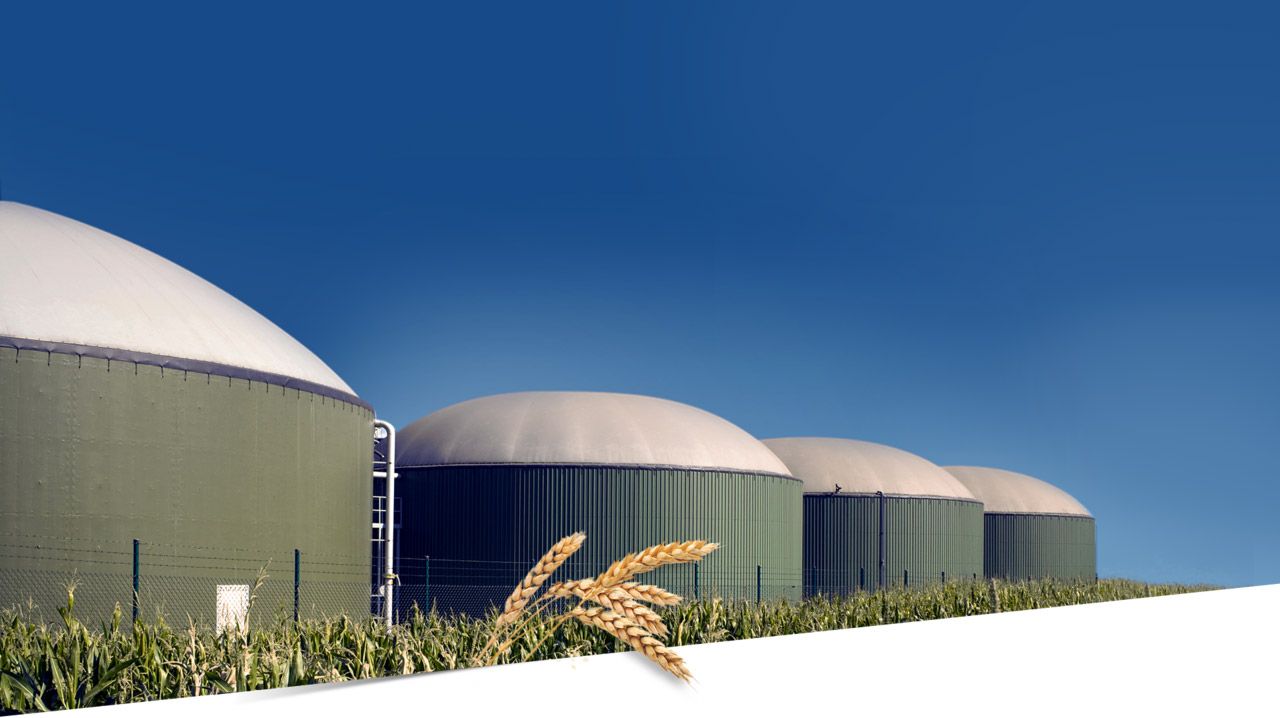 Biogas